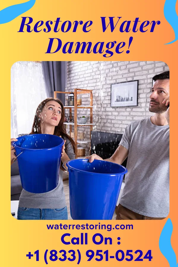 water restoration Precision Water Mitigation Inc Kapaa